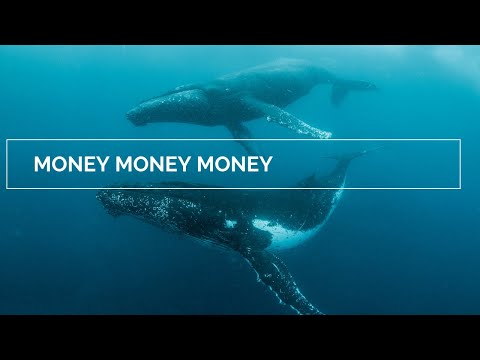 MPA Webinar Episode 7 – MONEY MONEY MONEY
