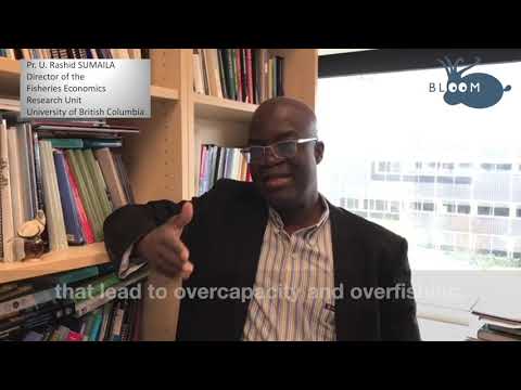 Prof. U. Rashid Sumaila speaks on European fishing subsidies