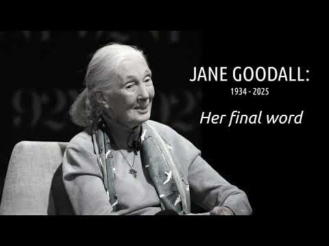 Jane Goodall's final words: "I felt angry, depressed at times"