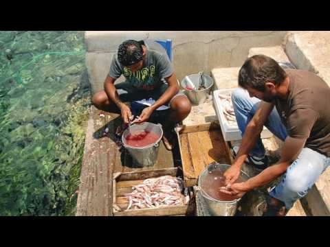 Dr. U. Rashid Sumaila discusses his approach to fisheries economics