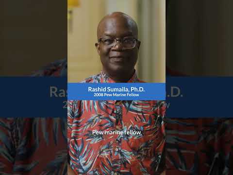 How Economics Protects Our Ocean | Pew Marine Fellow Rashid Sumaila