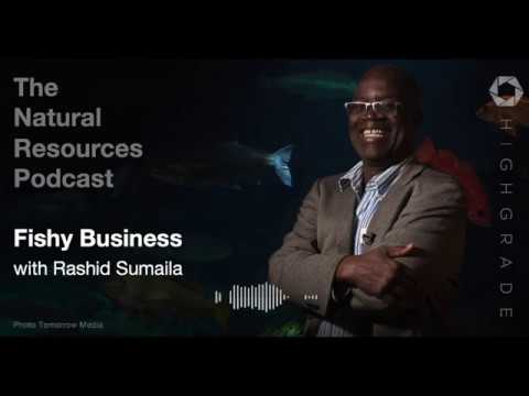 Fishy Business | Highgrade with Rashid Sumaila