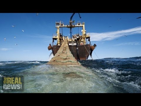 World's Oceans Face "Irreparable Damage"