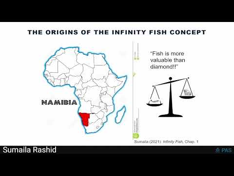 Infinity fish for a sustainable blue economy - Casina Pio IV, Vatican City
