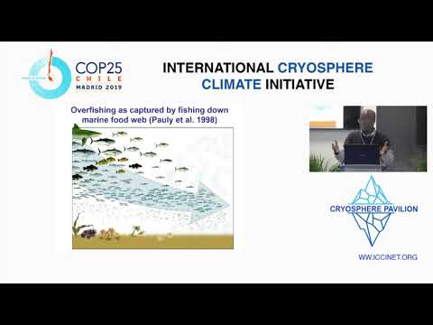 COP25: Call for governments to end overfishing to counter climate crisis