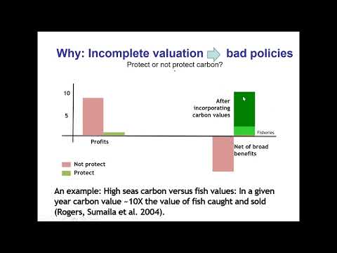 SESSION 3: Societal impacts when managing fish stocks to protect carbon