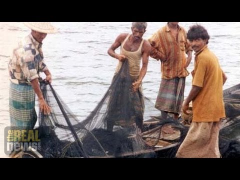 Global Warming Reducing Fisheries and Destroying Livelihoods