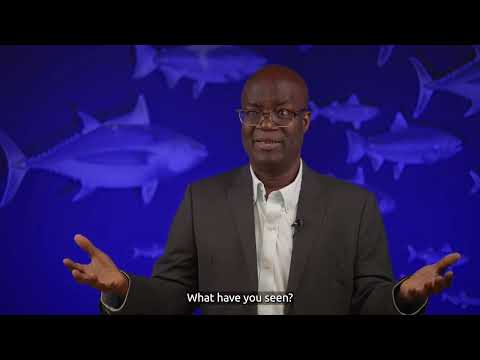 Rashid Sumaila on optimism: "I'm afraid of what Mandela will think of me if I lose hope"